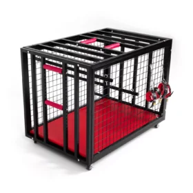 BDSM Cage