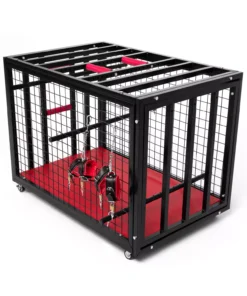 BDSM Cage